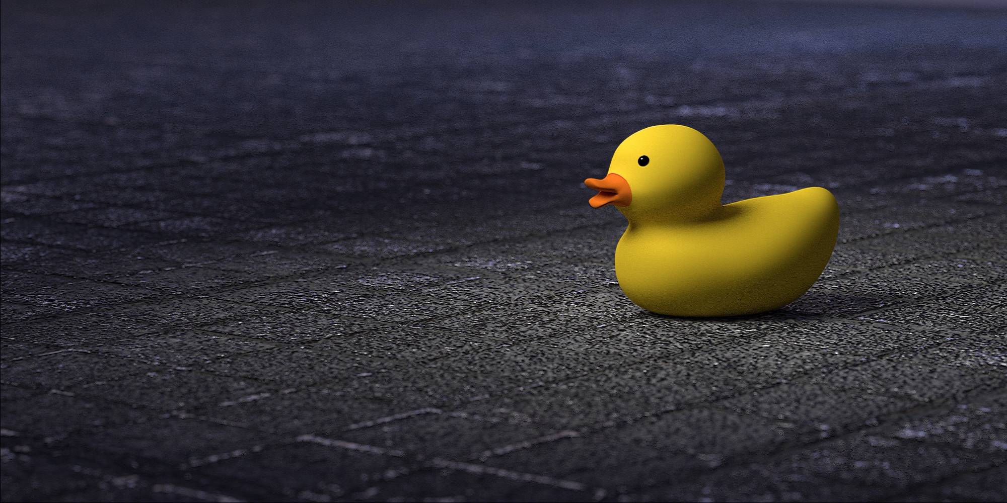 LonelyDuck